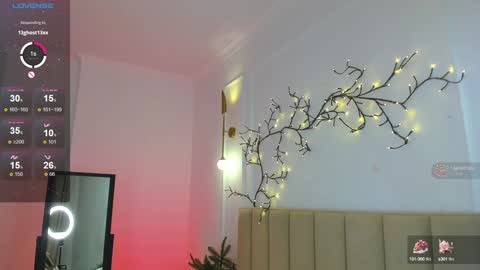 Snapshot of mari_nett chatting on December 2024 11:53:02 PM mari_nett online show from December 2024 11:53:02 PM