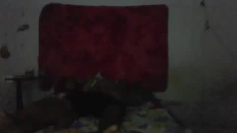 Snapshot of mariaevamotta5 chatting on February 2026 09:13:01 PM casal delicia online show from February 2026 09:13:01 PM