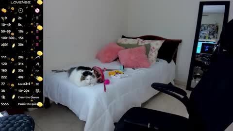   Mariam Castiblanco online show from January 2025 03:01:01 AM