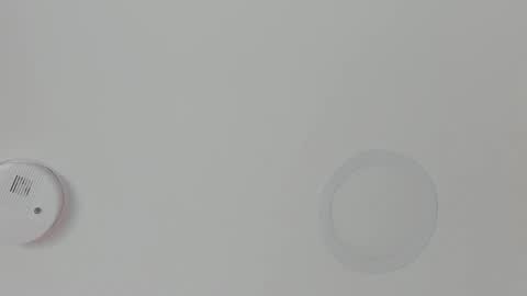 Snapshot of mariapettit chatting on February 2026 11:17:01 AM Maria Pettit online show from February 2026 11:17:01 AM