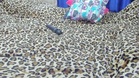 Snapshot of marie_marie03 chatting on January 2025 01:56:02 PM Marie online show from January 2025 01:56:02 PM