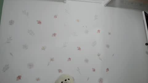 700 pm Washington time online show from March 2025 02:09:01 AM