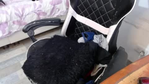 Marilyn  online show from February 2025 08:44:01 PM