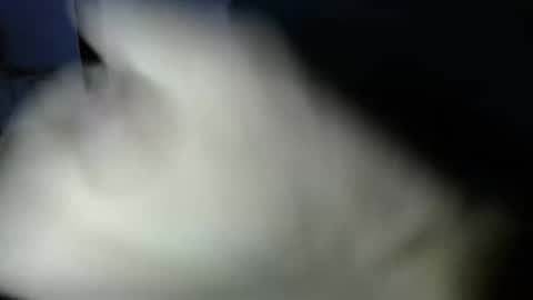 mark_270 online show from April 2026 06:06:02 PM