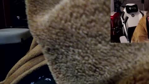 markass87 online show from April 2026 12:53:01 AM