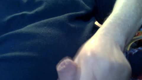 marko_th online show from February 2026 11:19:02 PM