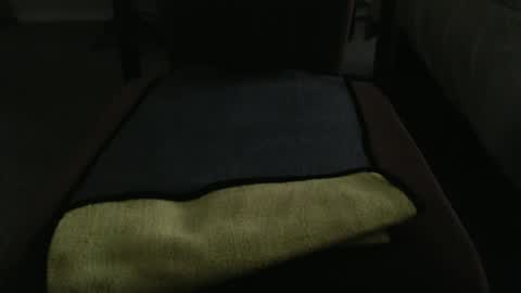 Snapshot of marky1954 chatting on May 2026 12:19:01 AM markedman online show from May 2026 12:19:01 AM