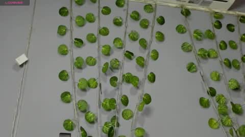 marly online show from February 2025 02:42:01 AM