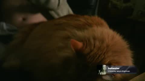 marnieccc online show from February 2026 04:35:01 AM