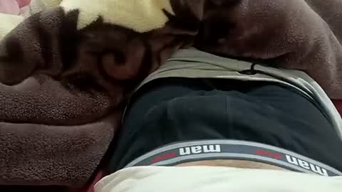 Snapshot of marocreda33 chatting on January 2025 08:53:01 PM marocreda33 online show from January 2025 08:53:01 PM