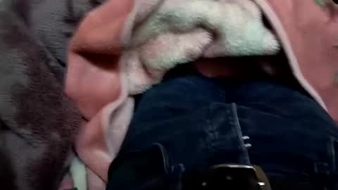 Snapshot of marocreda33 chatting on March 2025 05:57:02 PM marocreda33 online show from March 2025 05:57:02 PM