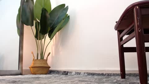 marthina thompson online show from December 2024 04:08:02 PM