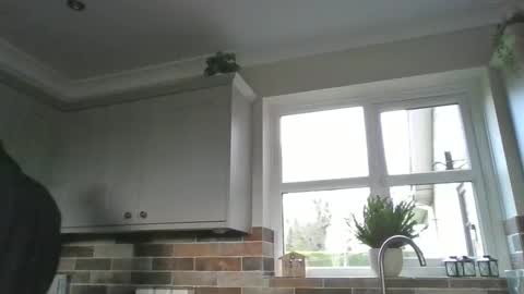 martinrgbxxxx online show from December 2024 09:56:02 AM