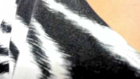 Marylin online show from March 2025 07:48:01 PM