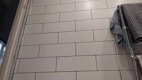 Bob online show from October 2025 08:15:01 AM