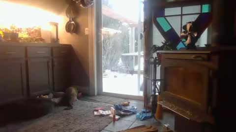 The Big Duurty online show from February 2025 02:22:02 PM