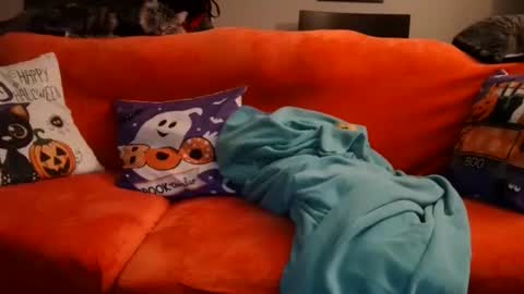 alex online show from October 2025 07:53:01 AM