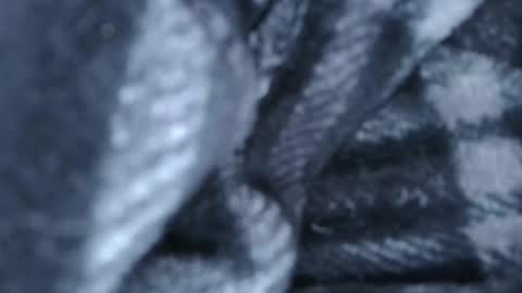 alex online show from March 2026 01:27:02 AM