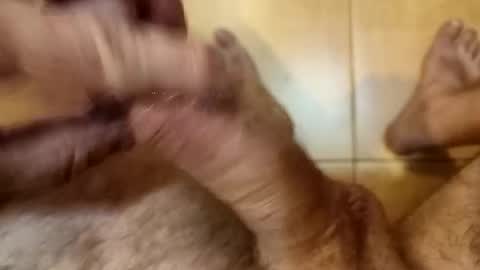 Snapshot of mastmachine87 chatting on October 2025 03:13:01 PM Chriss online show from October 2025 03:13:01 PM