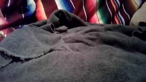 mastrdebator online show from December 2025 03:33:01 AM