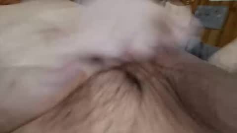 Snapshot of masturbator469658 chatting on November 2025 02:50:01 PM masturbator469658 online show from November 2025 02:50:01 PM