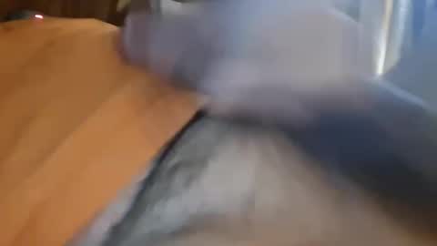 masturbator469658 online show from January 2026 05:29:02 PM