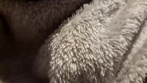 Snapshot of mattca80 chatting on October 2025 02:53:01 AM mattca80 online show from October 2025 02:53:01 AM