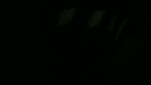 Snapshot of mau_lira chatting on January 2026 11:04:02 AM Lira online show from January 2026 11:04:02 AM