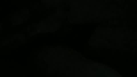 Snapshot of mau_lira chatting on February 2026 12:09:02 PM Lira online show from February 2026 12:09:02 PM