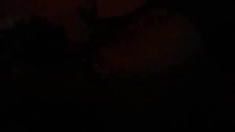 Snapshot of mau_lira chatting on February 2026 07:39:01 AM Lira online show from February 2026 07:39:01 AM