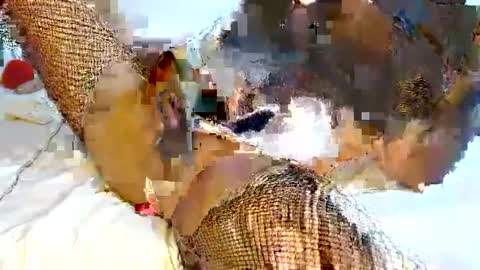 mauro sex online show from February 2025 06:02:02 PM