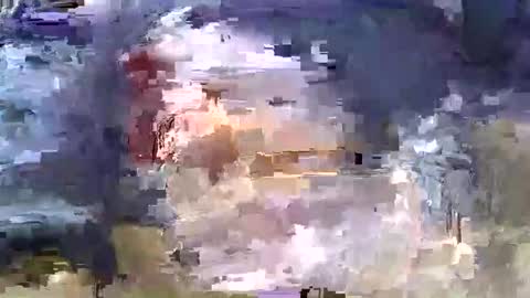 max00700769 online show from March 2025 06:11:02 PM