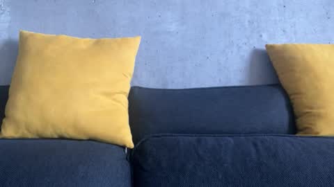    online show from December 2025 06:09:01 AM