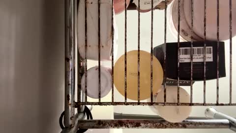 Snapshot of maxaux chatting on October 2025 07:36:01 PM Max online show from October 2025 07:36:01 PM