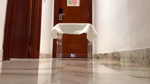 maximo1991 online show from December 2025 06:19:02 AM