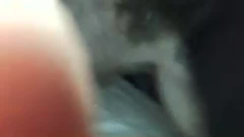 maxxou69hot online show from May 2026 09:59:02 AM