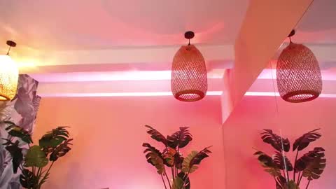 Mayly online show from March 2026 01:00:01 PM