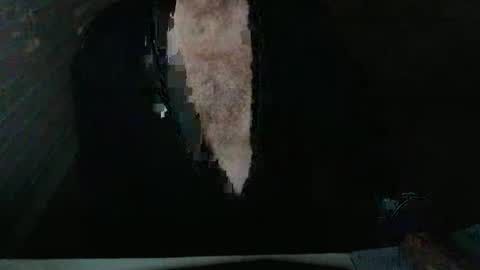 Beastie online show from November 2025 03:50:01 AM