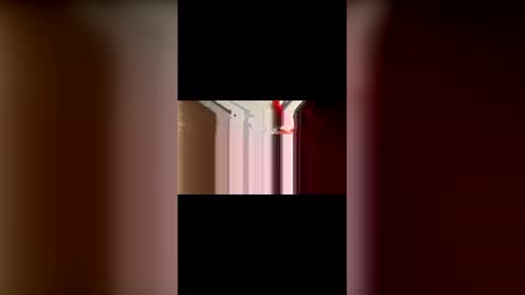 mcgriffwes2 online show from February 2026 02:17:02 AM