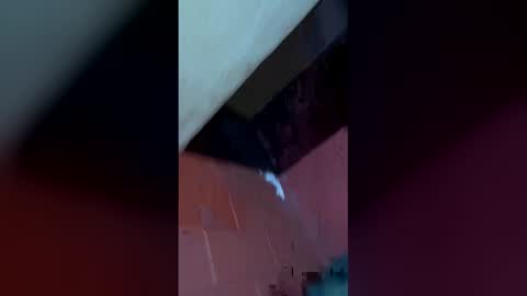 Snapshot of mckrns chatting on March 2026 10:16:01 AM mckrns online show from March 2026 10:16:01 AM