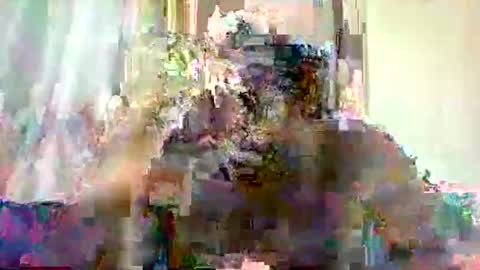 Snapshot of mclntz_bbc chatting on May 2026 12:24:01 PM mclntz_bbc online show from May 2026 12:24:01 PM