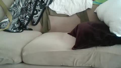 Snapshot of me_likey88 chatting on February 2025 08:42:02 PM yung n hung online show from February 2025 08:42:02 PM