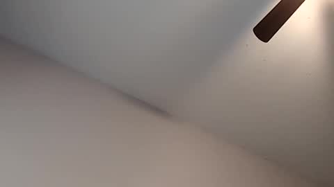 Snapshot of meanfinger chatting on February 2026 03:30:02 PM Jizzy online show from February 2026 03:30:02 PM