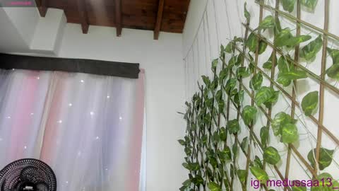 medussa13 online show from December 2024 12:06:01 PM