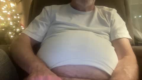 Snapshot of megabigkahuna chatting on December 2024 06:19:02 AM whatever you want it to be online show from December 2024 06:19:02 AM