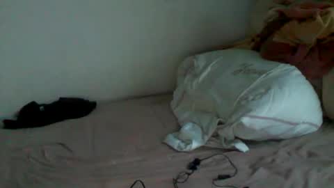 megamanp online show from December 2024 02:37:02 PM