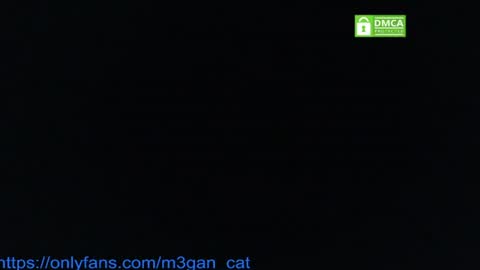 Snapshot of megan_cat chatting on July 2026 05:19:01 PM megan_cat online show from July 2026 05:19:01 PM