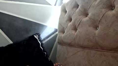 Megan and sophi online show from October 2025 01:33:02 PM