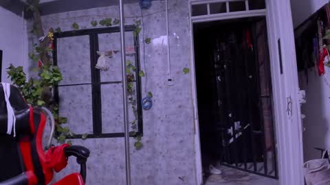 megan grace 20 online show from January 2025 11:45:02 AM