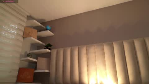     online show from November 2025 12:06:01 PM